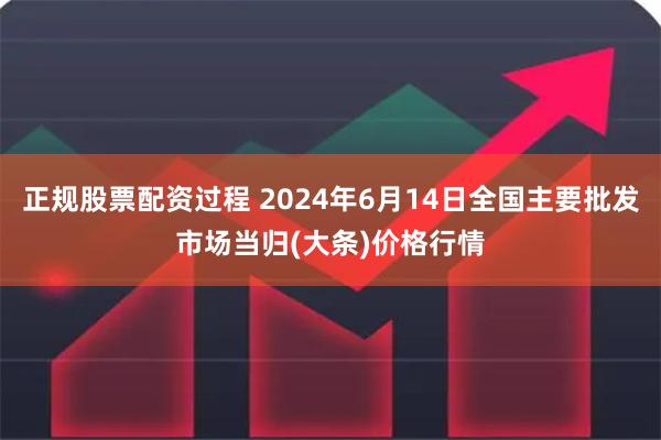 正规股票配资过程 2024年6月14日全国主要批发市场当归(大条)价格行情