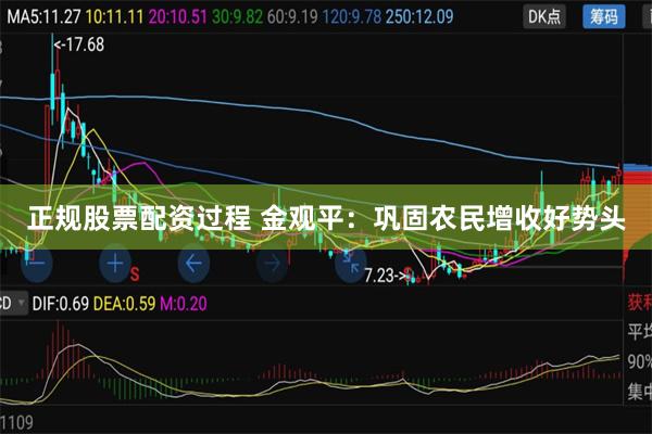 正规股票配资过程 金观平：巩固农民增收好势头