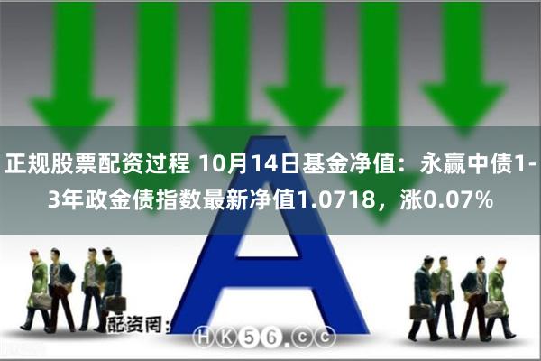 正规股票配资过程 10月14日基金净值：永赢中债1-3年政金债指数最新净值1.0718，涨0.07%