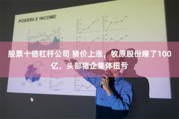 股票十倍杠杆公司 猪价上涨，牧原股份赚了100亿，头部猪企集体扭亏