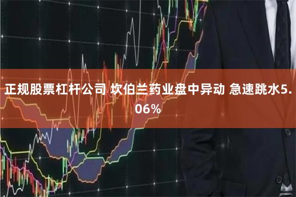 正规股票杠杆公司 坎伯兰药业盘中异动 急速跳水5.06%