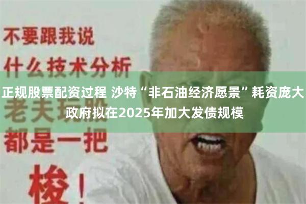 正规股票配资过程 沙特“非石油经济愿景”耗资庞大 政府拟在2025年加大发债规模